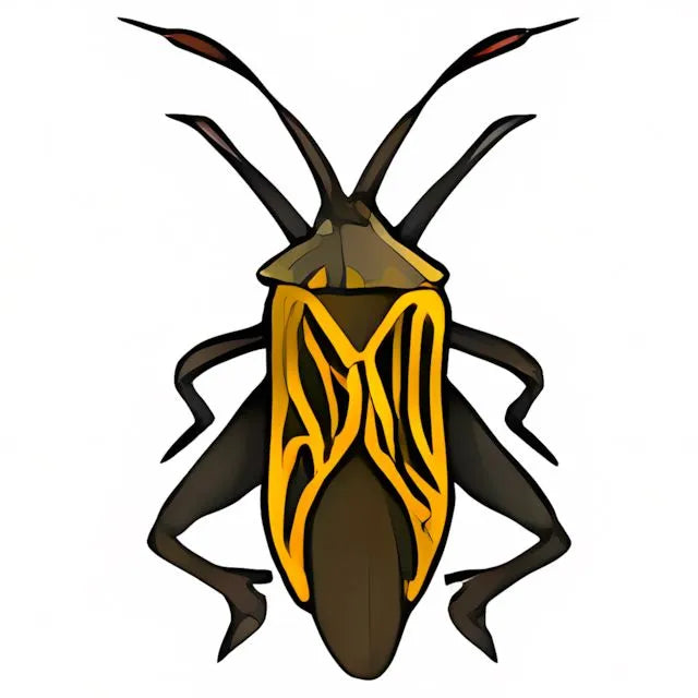 Black and Yellow Collectable Scarab - Neopoints Valley