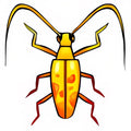 Greater Yellow Collectable Scarab - Neopoints Valley
