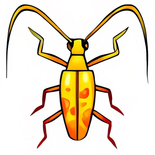 Greater Yellow Collectable Scarab - Neopoints Valley