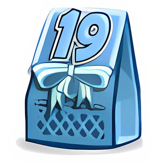 Neopets 19th Birthday Goodie Bag - Neopoints Valley