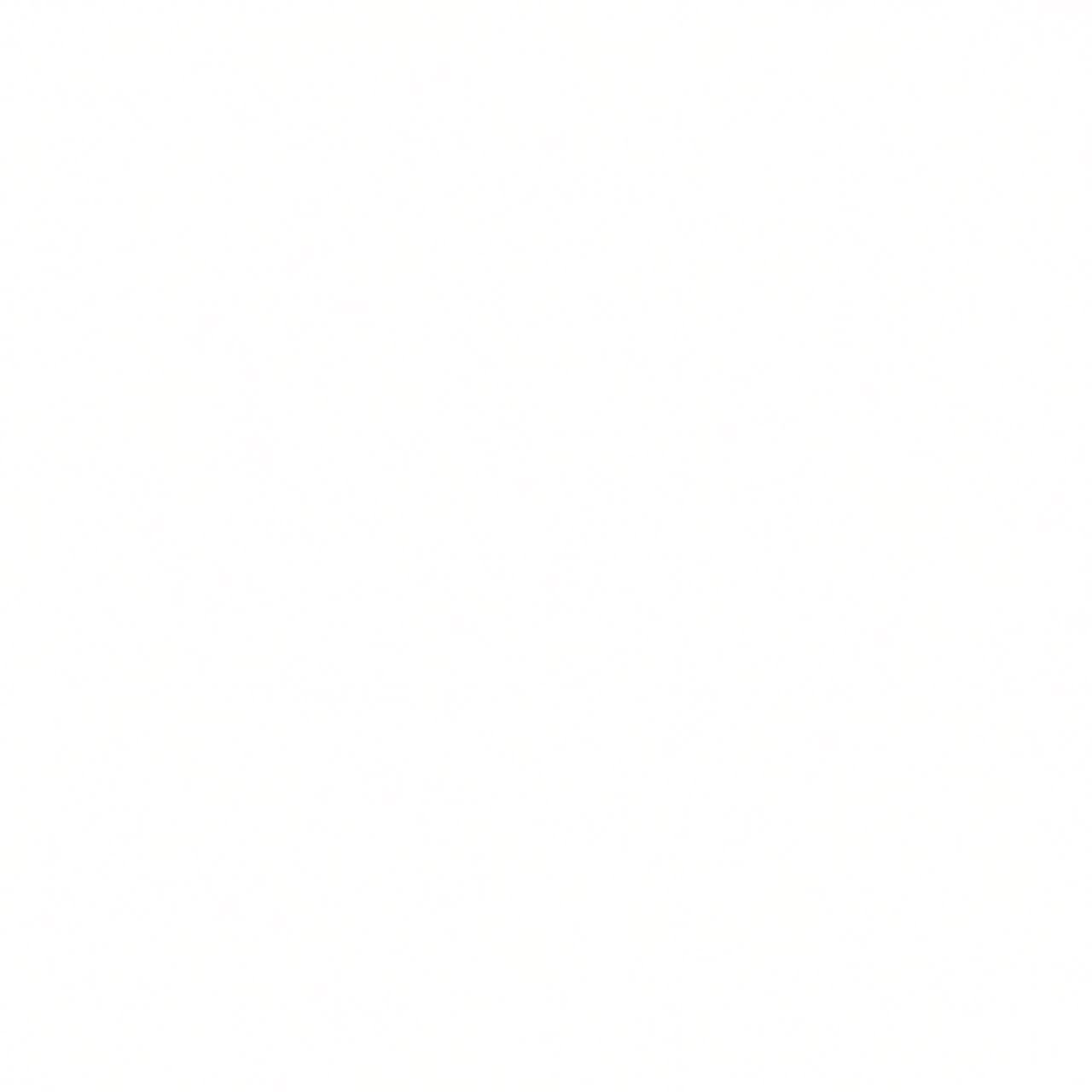 Invisible Petpet Paint Brush